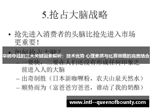 辛纳夺冠的三大关键因素解析：技术优势 心理素质与比赛策略的完美结合